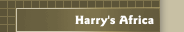 Harry's Africa
